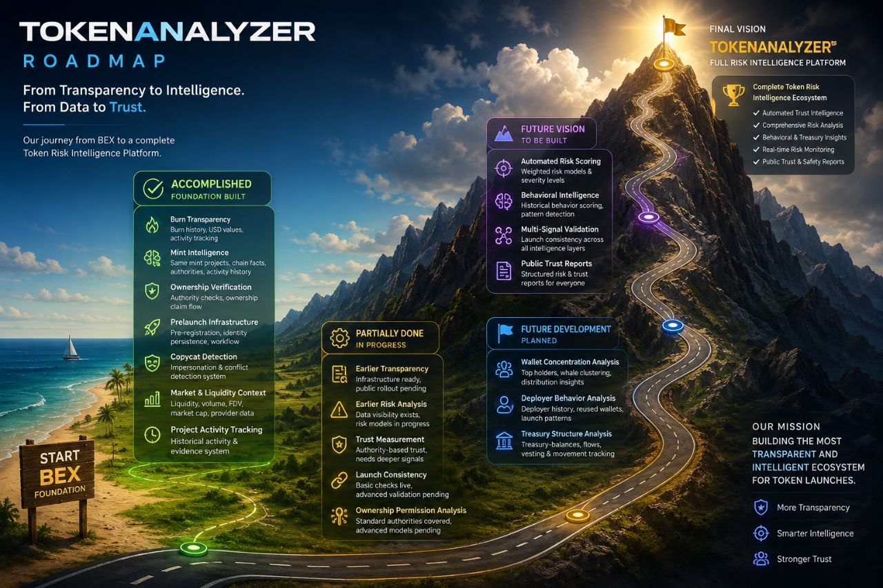 TokenAnalyzer roadmap infographic